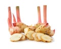 Fresh galangal