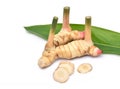 Fresh galangal rhizomes on white background Royalty Free Stock Photo