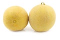 Fresh galia melons Royalty Free Stock Photo