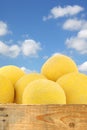 Fresh galia melons in a wooden crate