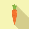 Fresh garden carrot icon flat vector. Sport food