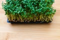 Fresh Garden Cress on wooden background Royalty Free Stock Photo