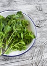 Fresh garden herbs - arugula, chard, parsley, cilantro, on a white enamel plate Royalty Free Stock Photo