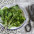 Fresh garden herbs - arugula, chard, parsley, cilantro, on a white enamel plate Royalty Free Stock Photo