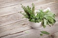 Fresh garden herbs in mortar on wooden table Royalty Free Stock Photo