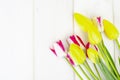 Fresh garden multicolored tulips on white wooden table