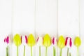 Fresh garden multicolored tulips on white wooden table