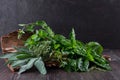 Fresh garden organic herbs on the bark of a tree. Basil, mint, thyme, sage, parsley. Royalty Free Stock Photo