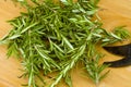 Fresh garden organic rosemary herb Royalty Free Stock Photo