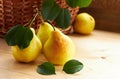 Fresh garden pears: group of fruit with green leaves laying on wooden table
