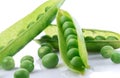 Fresh garden peas Royalty Free Stock Photo