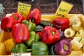 Fresh garden peppers at a farmer's market Royalty Free Stock Photo