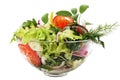 Fresh garden salad Royalty Free Stock Photo