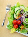 Fresh Garden Salad on Square Plate with Fork Royalty Free Stock Photo