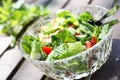 Fresh garden salad on a table. Royalty Free Stock Photo