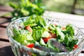 Fresh garden salad on a table. Royalty Free Stock Photo