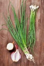 Fresh garden spring onion Royalty Free Stock Photo