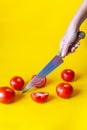 Fresh garden tomatoes. The hand holds a knife and cuts the tomato Royalty Free Stock Photo