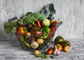 Fresh garden vegetables - broccoli, zucchini, eggplant, peppers, beets, tomatoes, onions, garlic - vintage metal basket Royalty Free Stock Photo