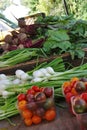 Fresh garden vegetables at a farmers market stand Royalty Free Stock Photo