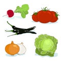 Fresh Gardening Vegetables Isolated