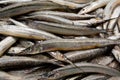 Fresh Garfish at a fish market