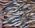 Fresh garfish (sea needle) for sale