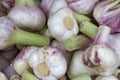 Fresh Garlic Royalty Free Stock Photo