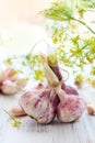 Fresh garlic