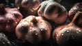 Fresh garlic on a black background. Selective focus. Toned.