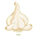 Fresh Garlic Bulb & Cloves