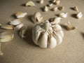 Garlic Bulb and Garlic Cloves on the MDF wooden plate board Texture Background Royalty Free Stock Photo