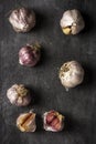 Fresh garlic bulbs and cloves grouped on black background Royalty Free Stock Photo