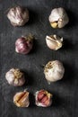 Fresh garlic bulbs and cloves grouped on black background Royalty Free Stock Photo