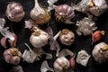 Fresh garlic bulbs and cloves grouped on black background Royalty Free Stock Photo