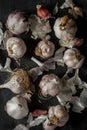 Fresh garlic bulbs and cloves grouped on black background Royalty Free Stock Photo