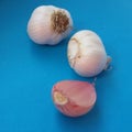 Fresh garlic bulbs over blue background. Organic and healthy. Royalty Free Stock Photo