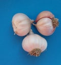 Fresh garlic bulbs over blue background. Organic and healthy. Royalty Free Stock Photo