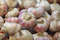 Fresh garlic bulbs sale on retail market display Royalty Free Stock Photo