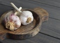 Fresh garlic bulbs in wooden plate on old dark wooden background, copy space Royalty Free Stock Photo