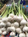 Fresh garlic bunch