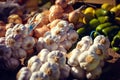 Fresh garlic bunches green pepper and onion on Royalty Free Stock Photo