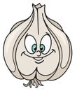 Fresh garlic cartoon