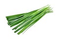 Fresh garlic chives vegetableon isoalted on white background Royalty Free Stock Photo