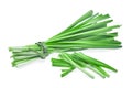 Fresh garlic chives vegetableon isoalted on white background