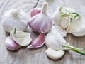 Fresh Garlic cloves with green chives ready to plant Royalty Free Stock Photo