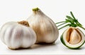 fresh garlic, cut out on white background