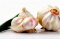 Fresh garlic cut out on white background