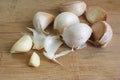 Garlic