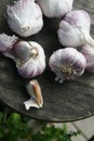 Fresh Garlic From the Garden Kitchen Gousse d`ail fraiches du Jardin bienfaits sur la santÃÂ© Royalty Free Stock Photo
